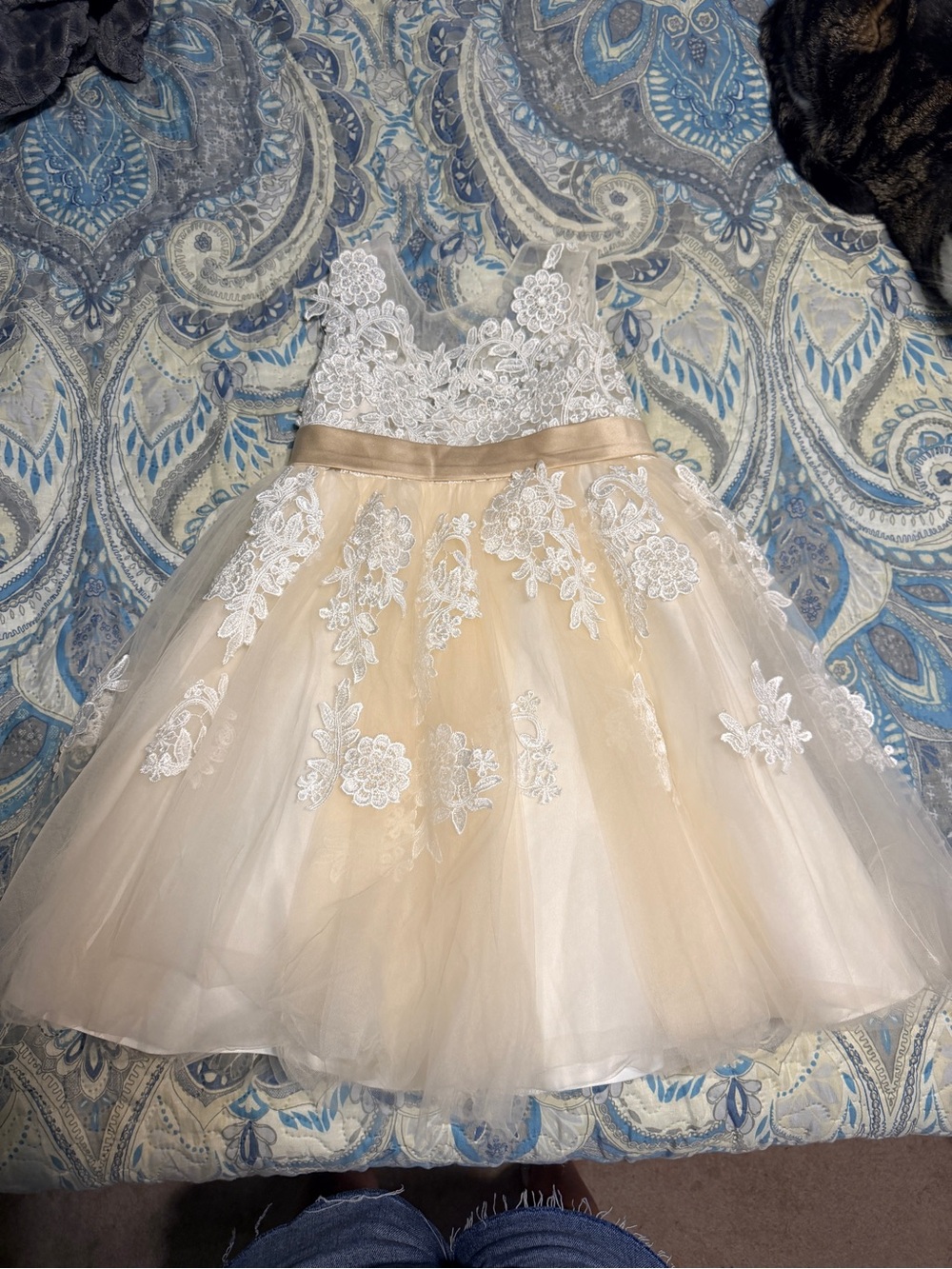 Girls Lace & Tulle Party Dress in Cream and White